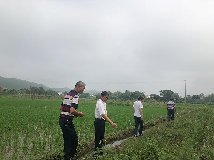 ������Ϸ| ��ҳ -������Ʒ,������Ʒ