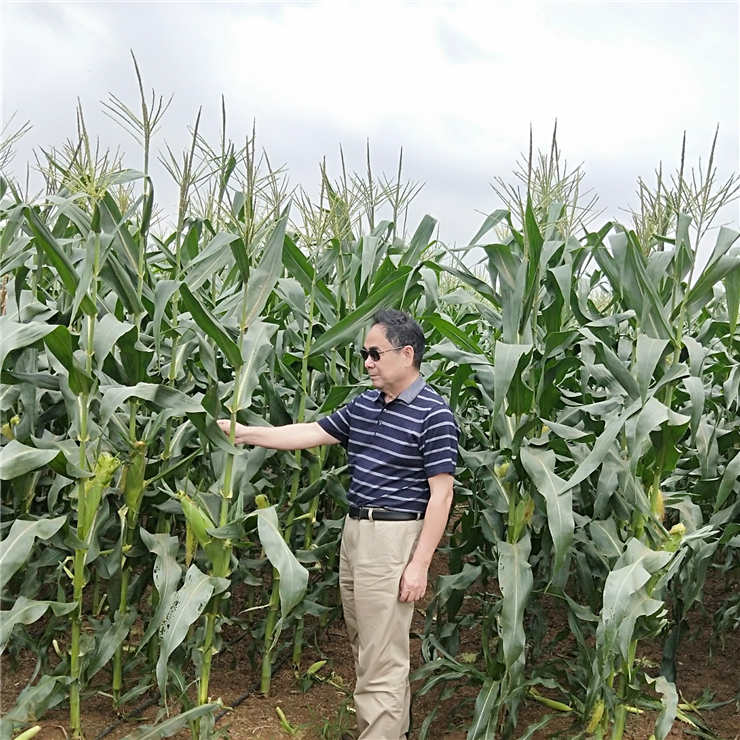 ������Ϸ| ��ҳ -������Ʒ,������Ʒ