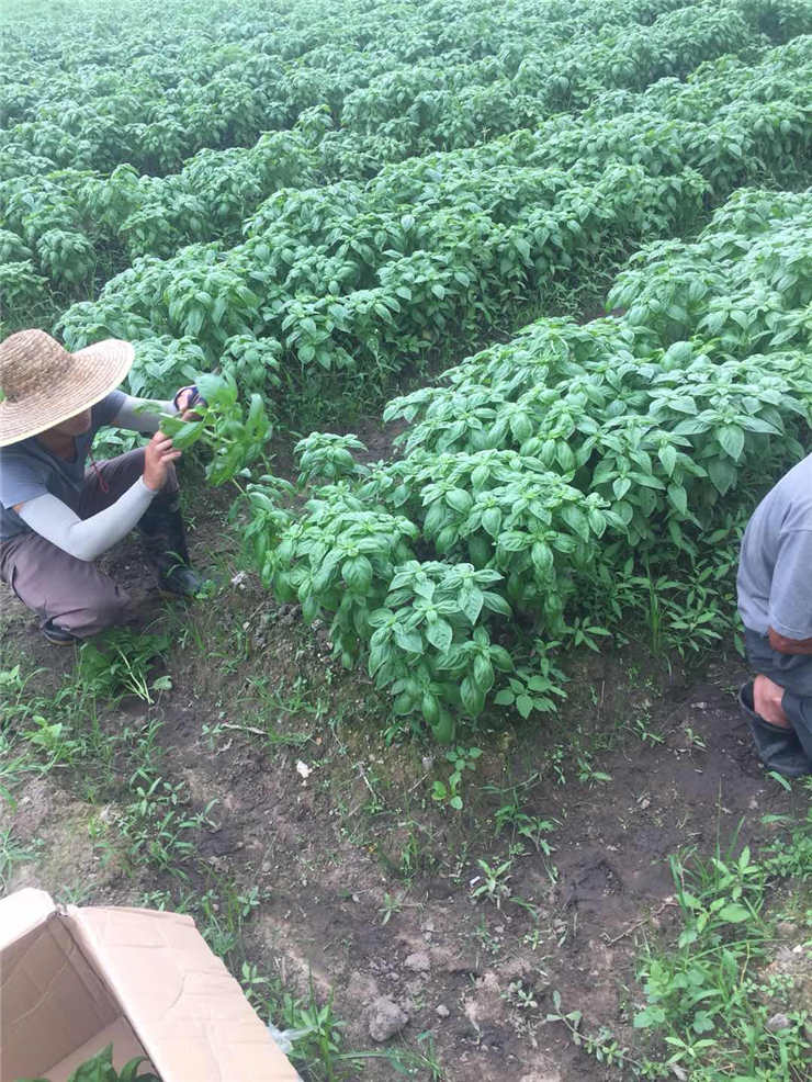 ������Ϸ| ��ҳ -������Ʒ,������Ʒ