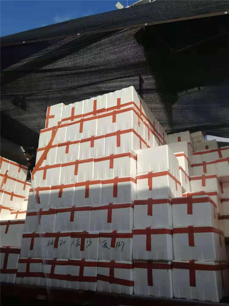 ������Ϸ| ��ҳ -������Ʒ,������Ʒ