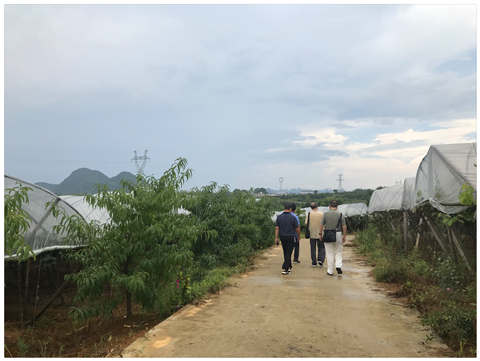 ������Ϸ| ��ҳ -������Ʒ,������Ʒ