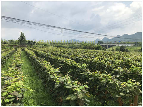 ������Ϸ| ��ҳ -������Ʒ,������Ʒ