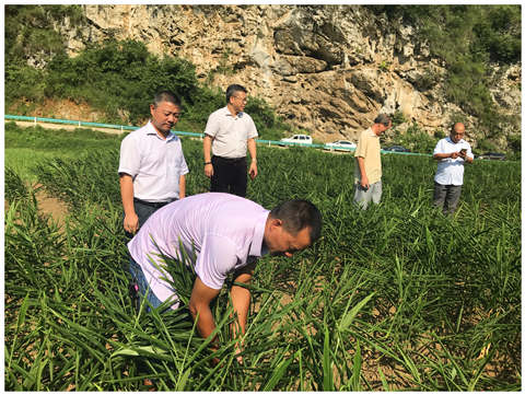 ������Ϸ| ��ҳ -������Ʒ,������Ʒ