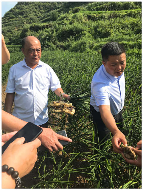 ������Ϸ| ��ҳ -������Ʒ,������Ʒ