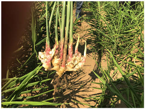 ������Ϸ| ��ҳ -������Ʒ,������Ʒ