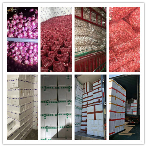 ������Ϸ| ��ҳ -������Ʒ,������Ʒ