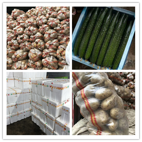 ������Ϸ| ��ҳ -������Ʒ,������Ʒ