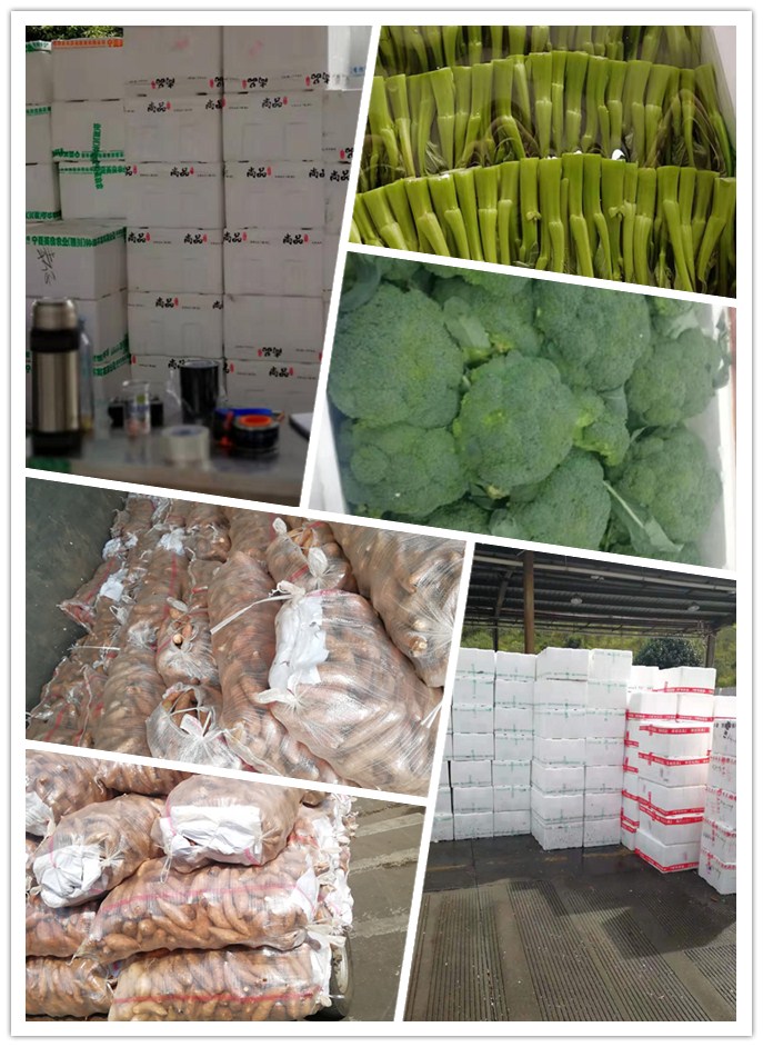 ������Ϸ| ��ҳ -������Ʒ,������Ʒ