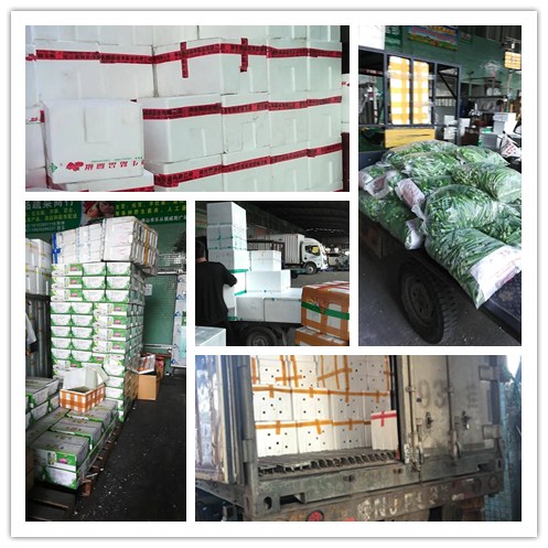 ������Ϸ| ��ҳ -������Ʒ,������Ʒ