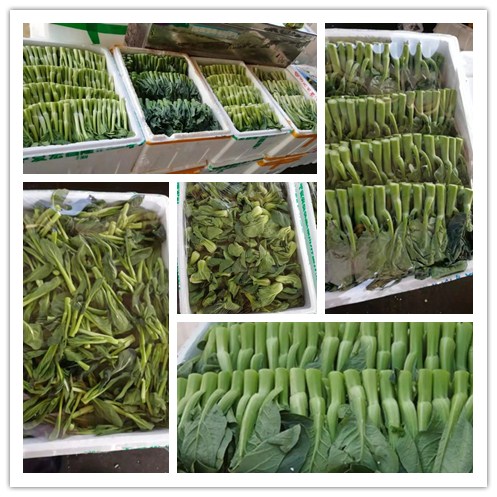 ������Ϸ| ��ҳ -������Ʒ,������Ʒ