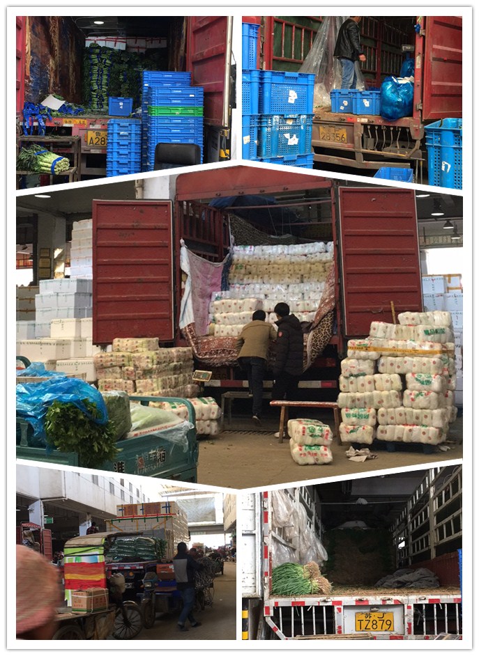 ������Ϸ| ��ҳ -������Ʒ,������Ʒ