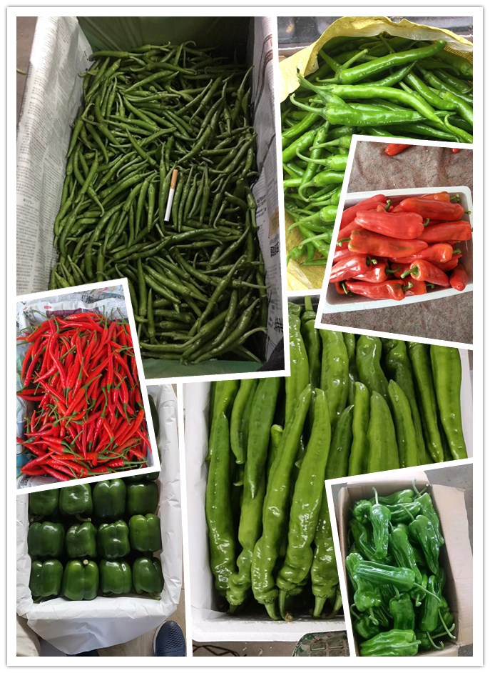 ������Ϸ| ��ҳ -������Ʒ,������Ʒ