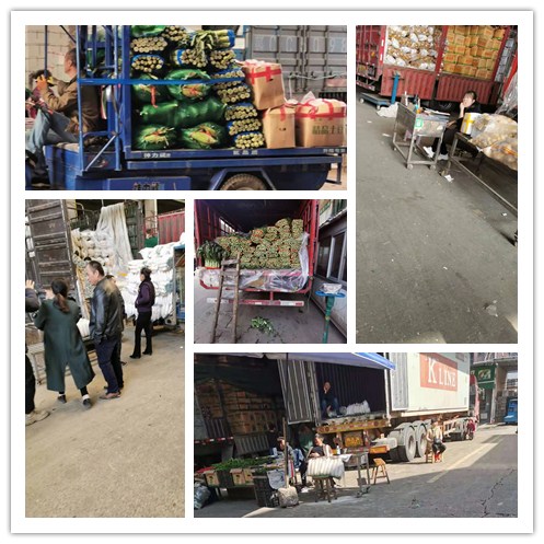 ������Ϸ| ��ҳ -������Ʒ,������Ʒ