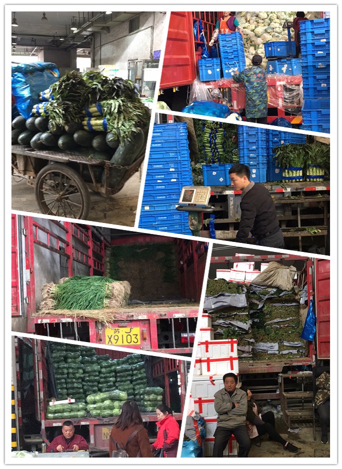 ������Ϸ| ��ҳ -������Ʒ,������Ʒ