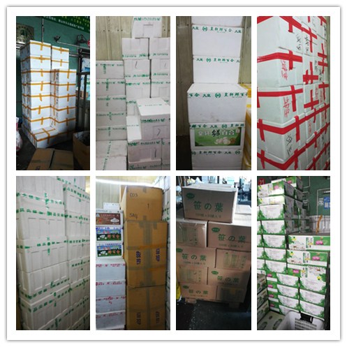 ������Ϸ| ��ҳ -������Ʒ,������Ʒ