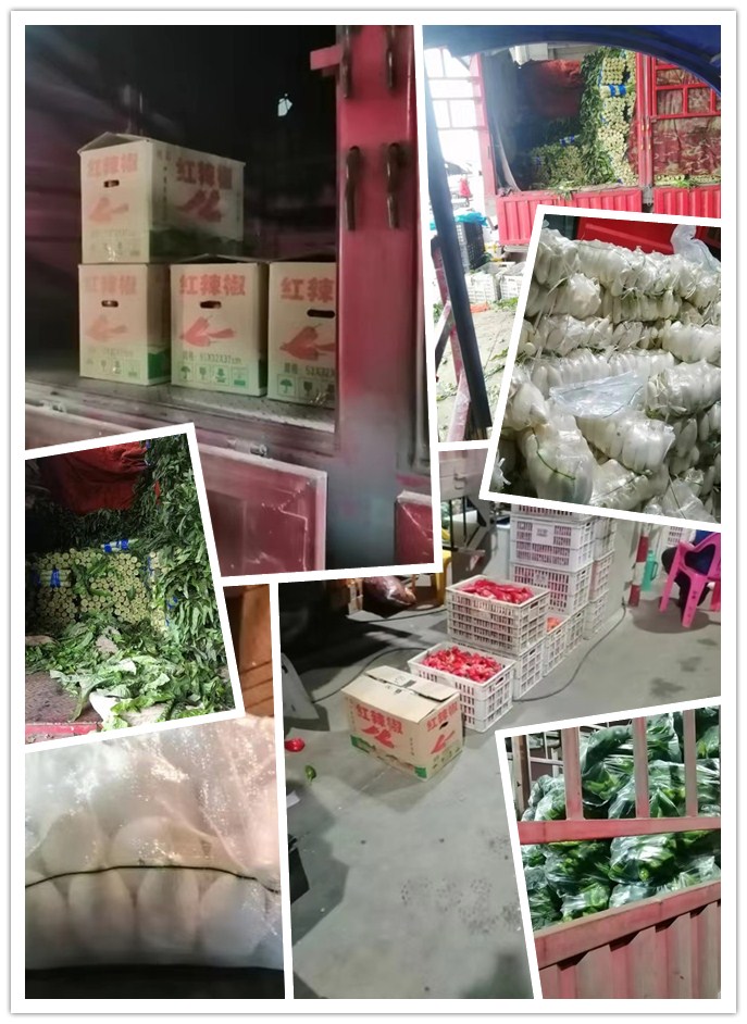 ������Ϸ| ��ҳ -������Ʒ,������Ʒ