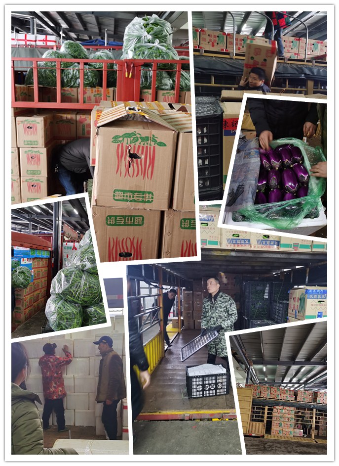 ������Ϸ| ��ҳ -������Ʒ,������Ʒ