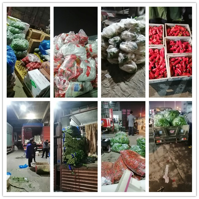 ������Ϸ| ��ҳ -������Ʒ,������Ʒ