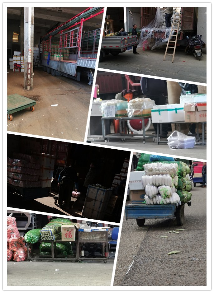 ������Ϸ| ��ҳ -������Ʒ,������Ʒ