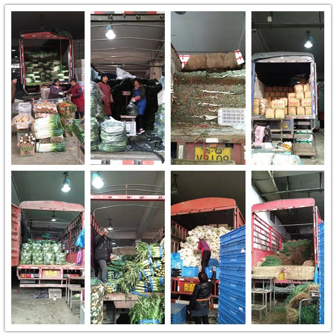 ������Ϸ| ��ҳ -������Ʒ,������Ʒ