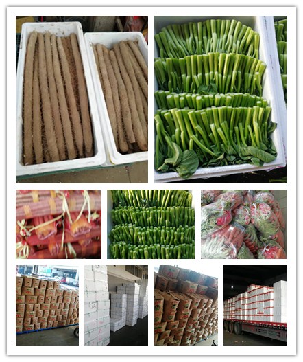 ������Ϸ| ��ҳ -������Ʒ,������Ʒ