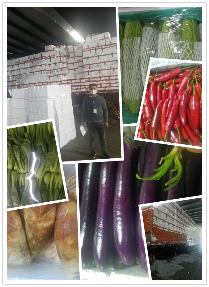 ������Ϸ| ��ҳ -������Ʒ,������Ʒ