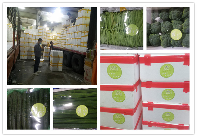 ������Ϸ| ��ҳ -������Ʒ,������Ʒ