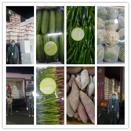 ������Ϸ| ��ҳ -������Ʒ,������Ʒ