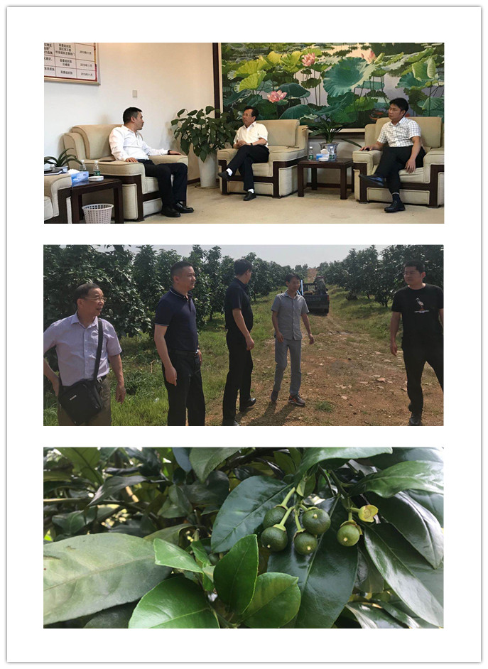 ������Ϸ| ��ҳ -������Ʒ,������Ʒ