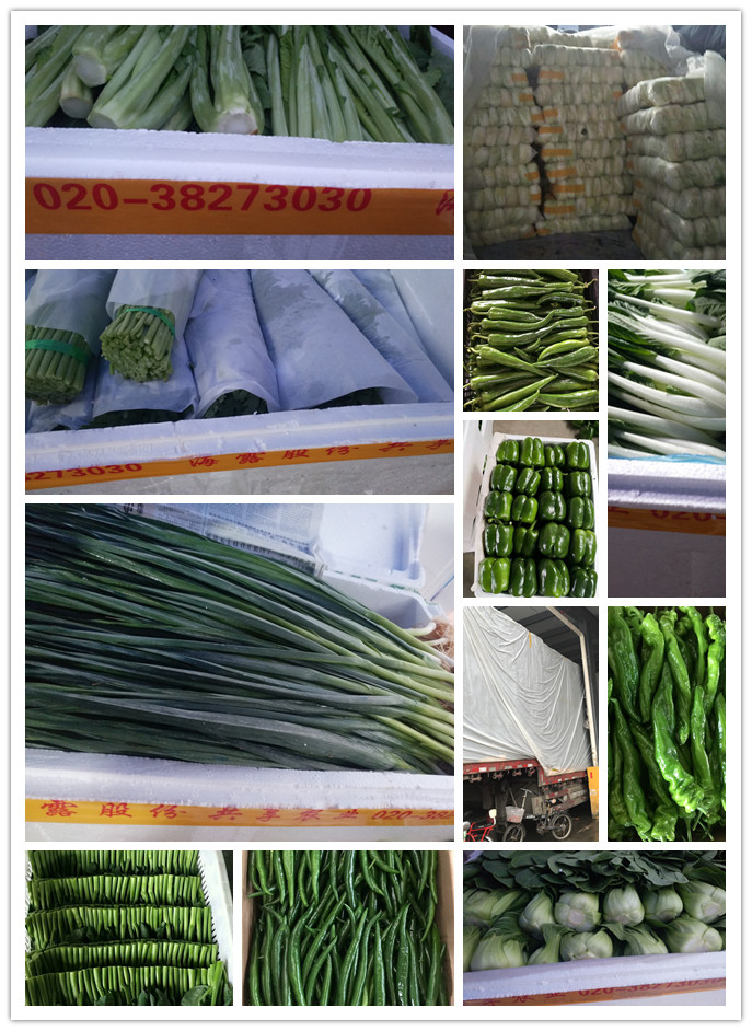 ������Ϸ| ��ҳ -������Ʒ,������Ʒ