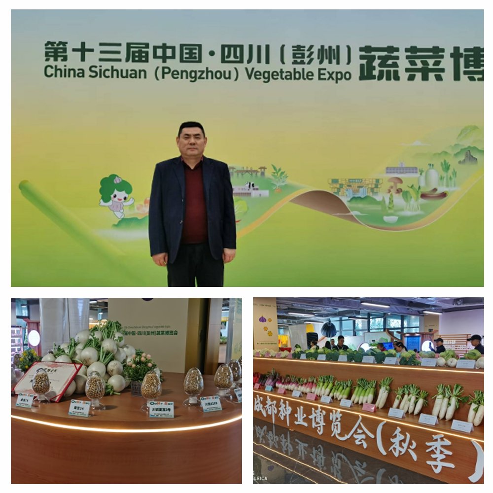 ������Ϸ| ��ҳ -������Ʒ,������Ʒ