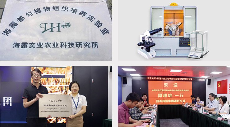 ������Ϸ| ��ҳ -������Ʒ,������Ʒ