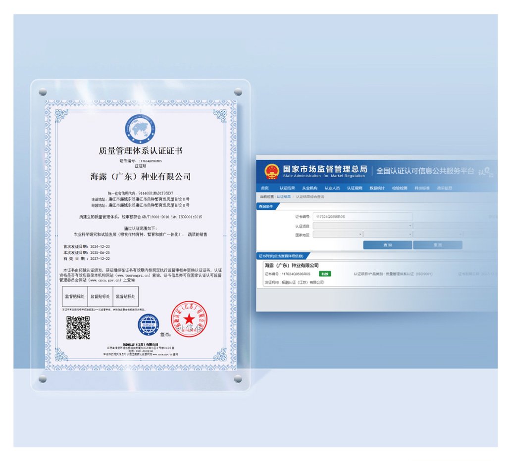 ������Ϸ| ��ҳ -������Ʒ,������Ʒ