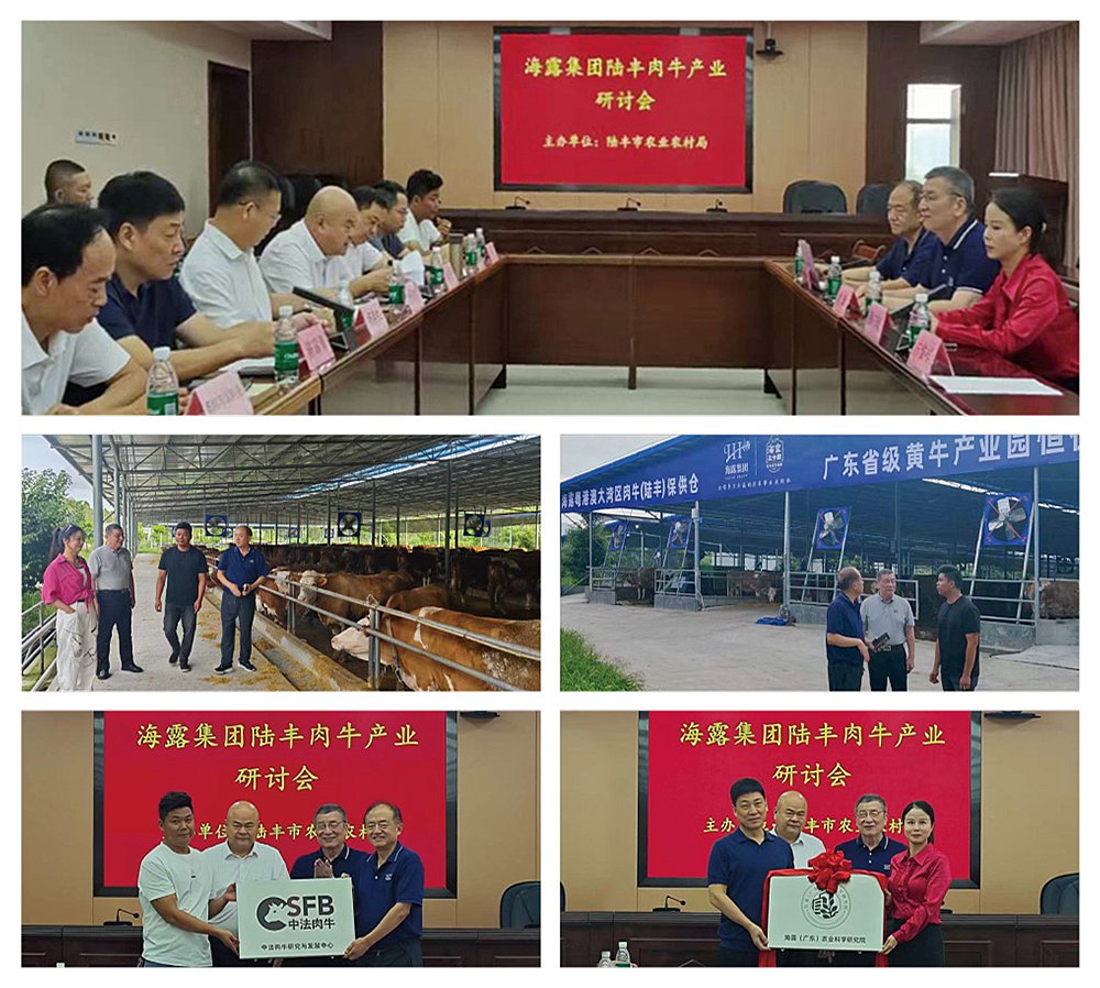 ������Ϸ| ��ҳ -������Ʒ,������Ʒ